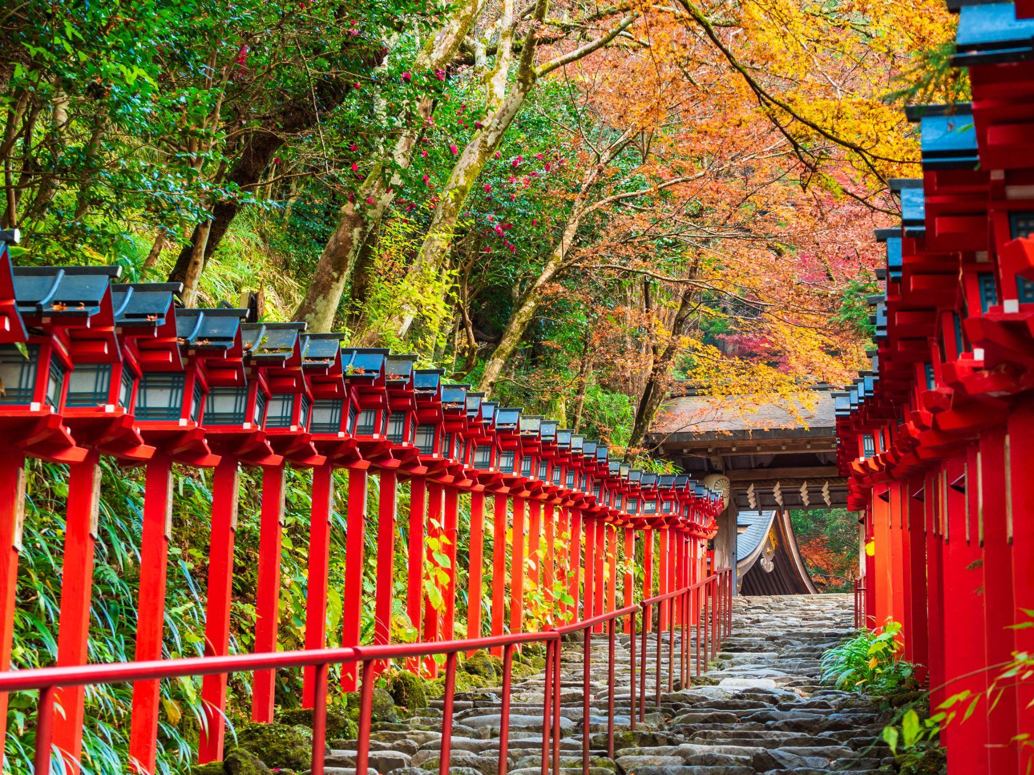 大原・貴船エリア│貴船神社