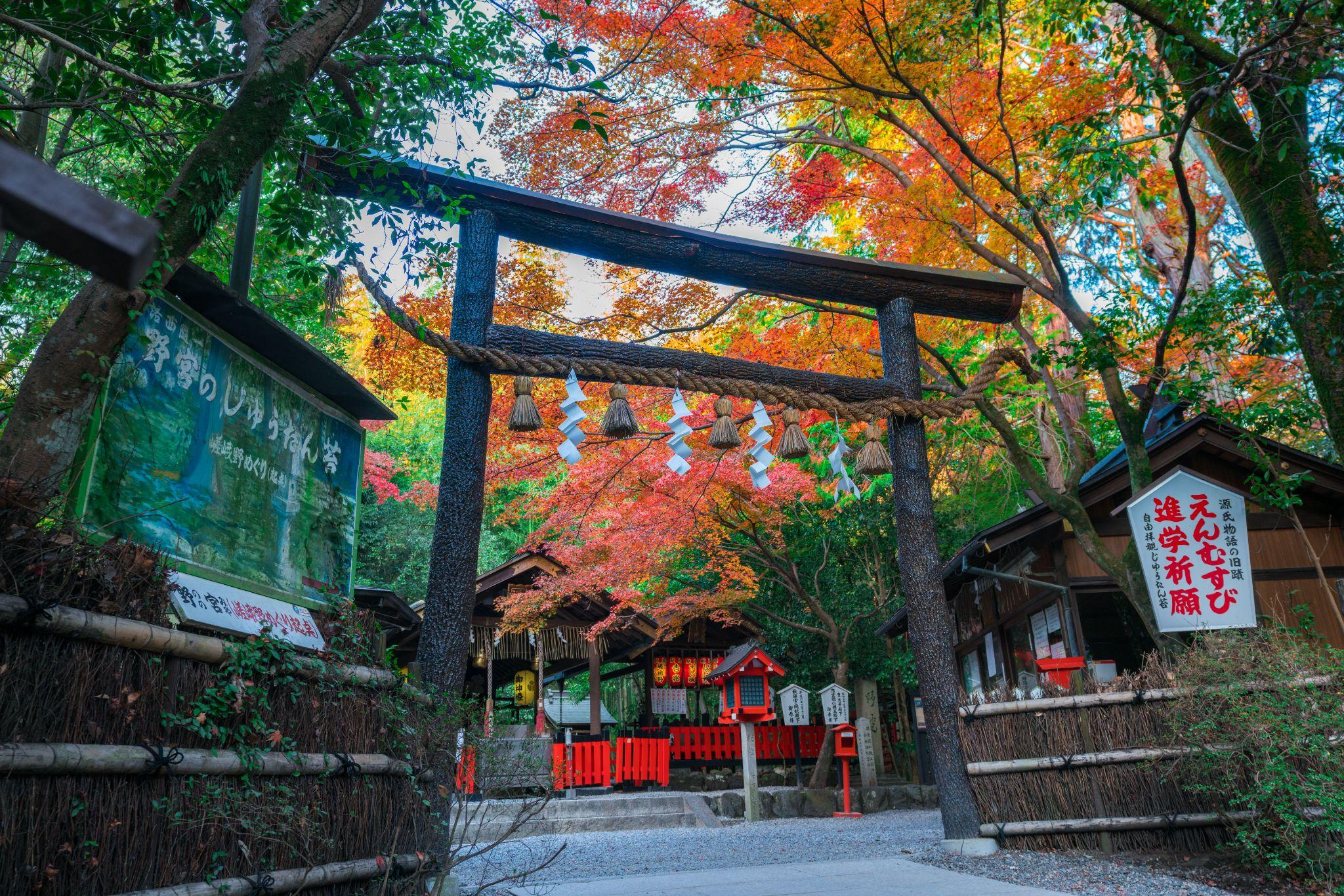 嵐山・仁和寺・金閣寺エリア│野宮神社