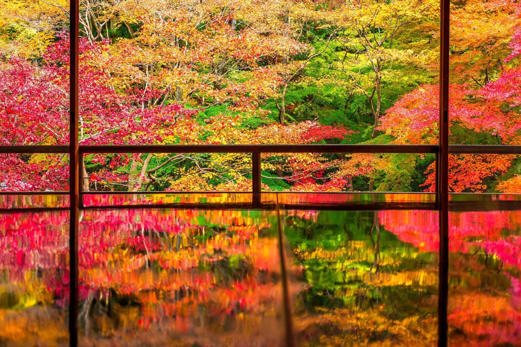 大原・貴船エリア│瑠璃光院