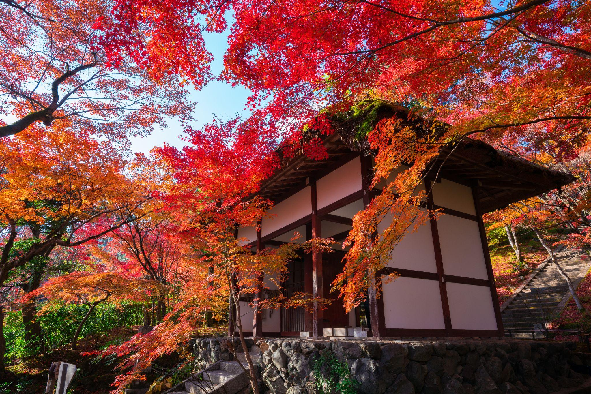 常寂光寺