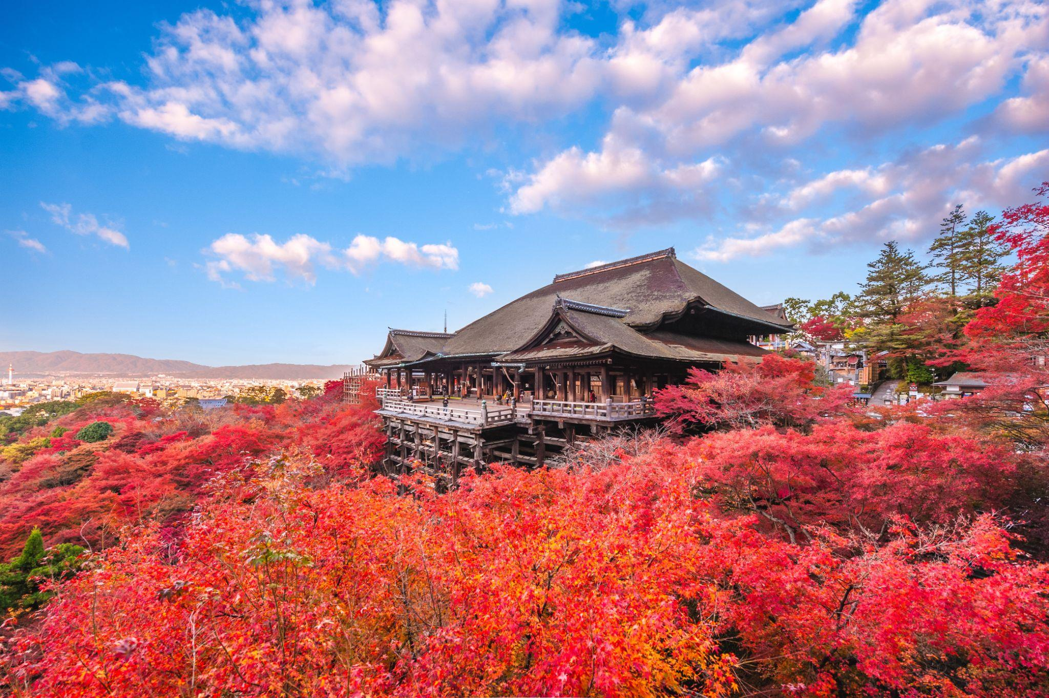 清水寺エリア